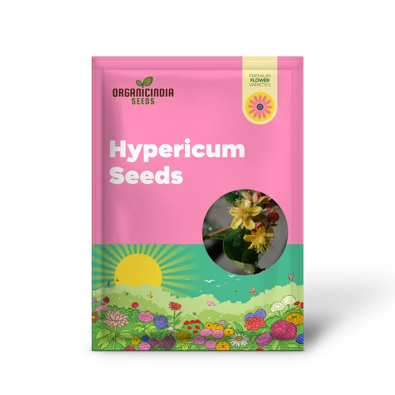 Hypericum 'Gladys Brabazon' Seeds - Hardy Perennial for Beautiful Gardens | Gardening Enthusiast's Choice