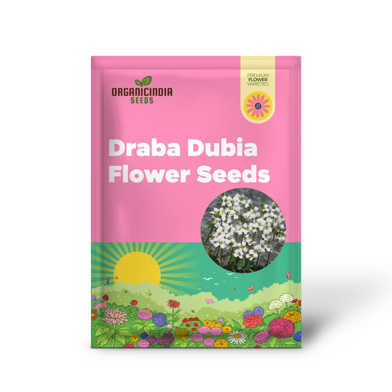Draba Dubia Flower Seeds For Planting, Bringing Alpine Charm to Your Garden