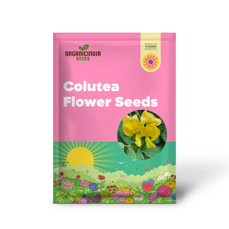 Colutea Arborescens Flower Seeds for Planting and Vibrant Garden, Premium Quality Gardening Seeds