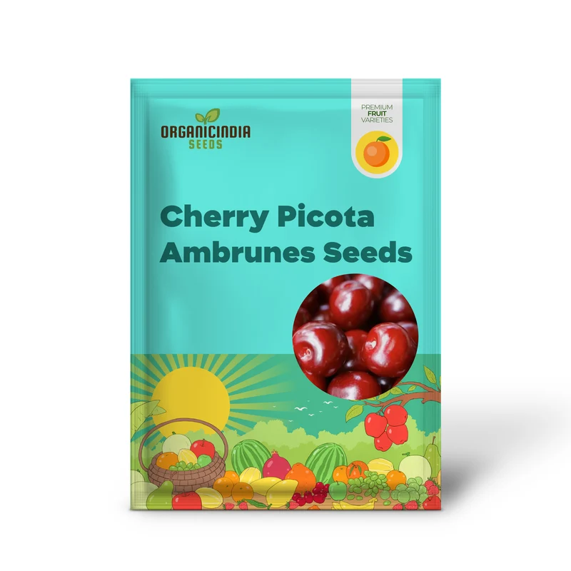 CHERRY PICOTA AMBRUNES Seeds for Exquisite Gardening Rare Fruit Tree Seeds for Home Gardeners