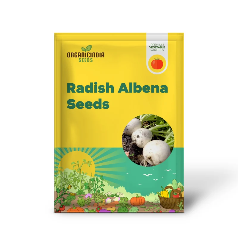RADISH ALBENA Seeds for Planting - Premium Quality for Gardening Enthusiasts | Buy Organic Seeds Online