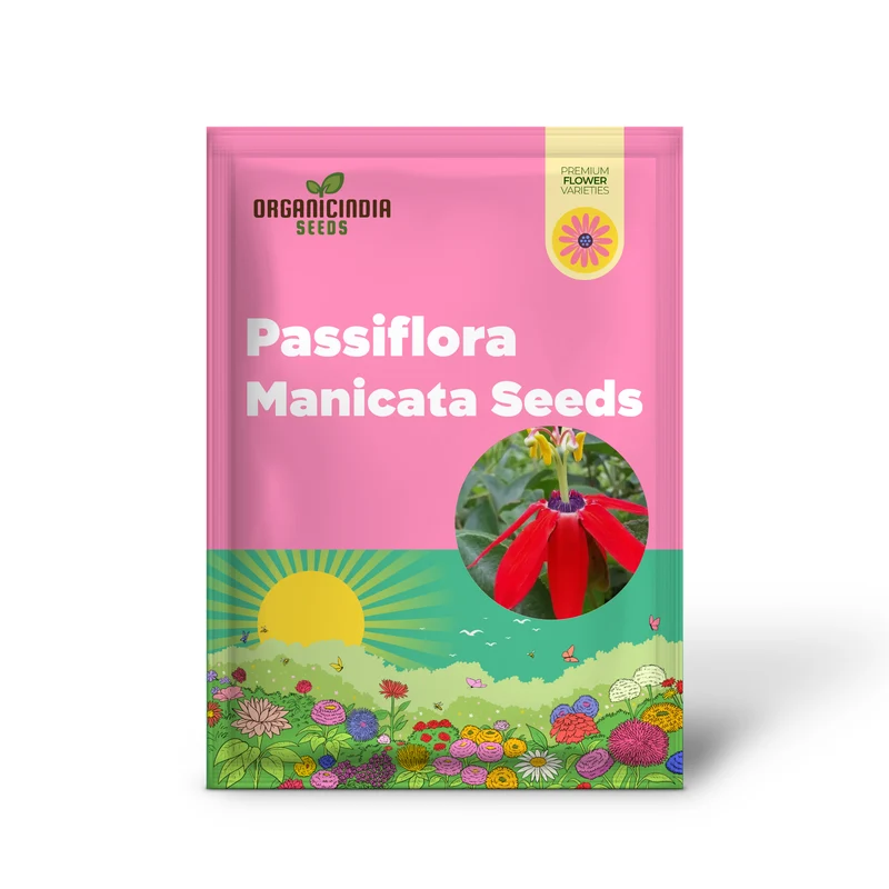 Passiflora manicata Seeds for Planting Elevate Your Gardening Experience with Unique, Tropical Blooms!