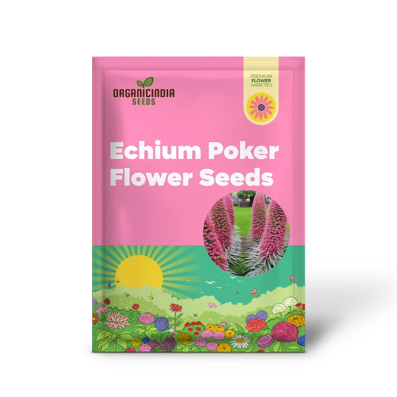 Echium Pink Poker Flower Seeds For Planting, Premium Quality Organic Seeds for Your Garden