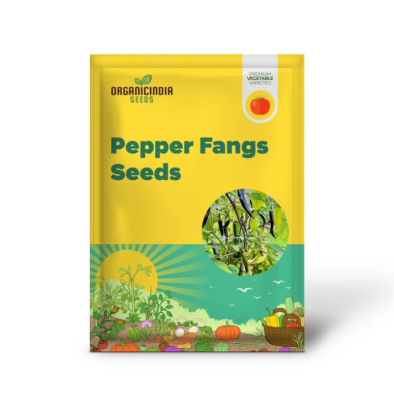 PEPPER BLACK FANGS Seeds for Your Gardening Adventures | Buy Organic Seeds