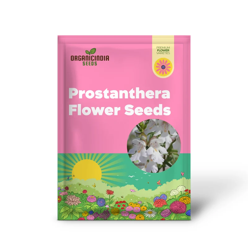 Prostanthera Lasianthos Flower Seeds For Planting, Cultivating Beautifully Fragrant Blooms for Your Garden