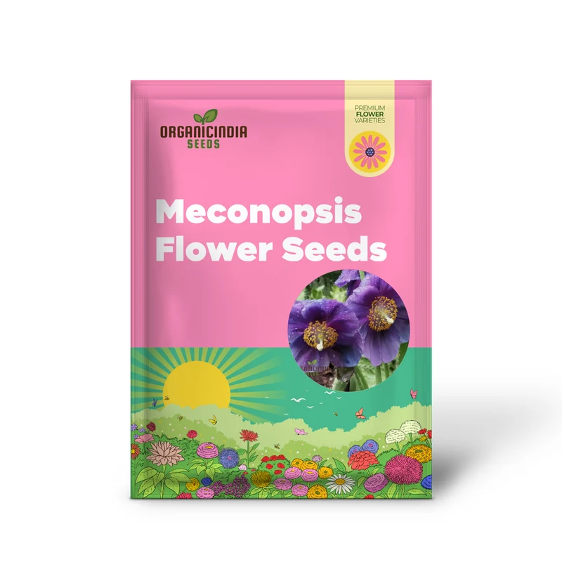Meconopsis Himalayan Velvet (Lingholm - Ex Grandis) Flower Seeds for Planting, Rare & Beautiful Seeds for Gardening