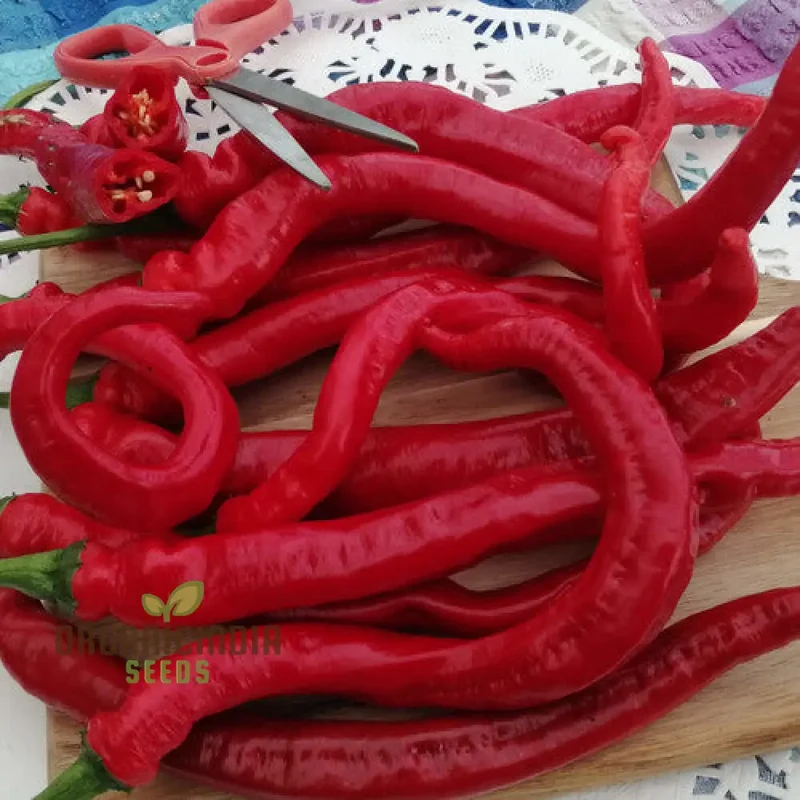 PEPPER SLIM JIM Seeds for Your Garden | Buy Seeds Online