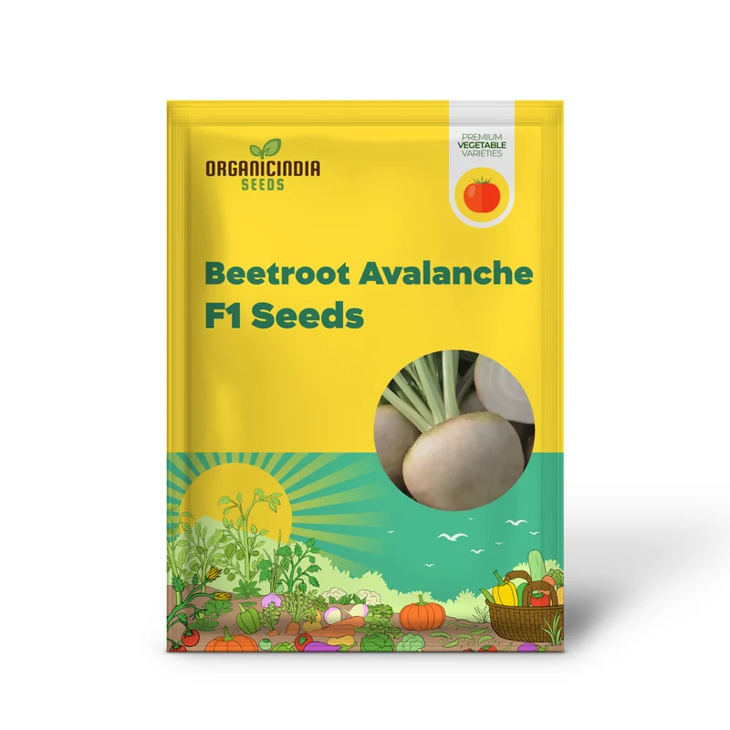 BEETROOT AVALANCHE F1 Seeds for Planting
