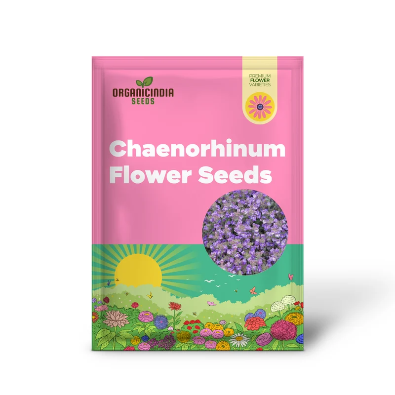 Chaenorhinum 'Blue Dream' Flower Seeds, Premium Quality Seeds for Stunning Garden Blooms