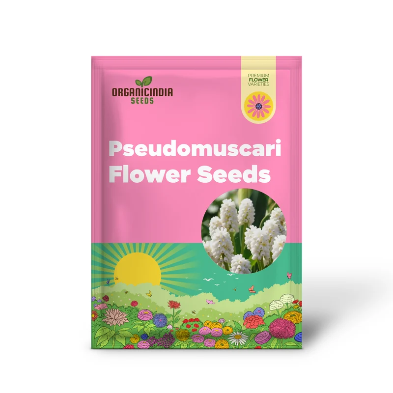 Pseudomuscari Azureum Alba Flower Seeds For Planting, Stunning Blue and White Blooms for Your Garden