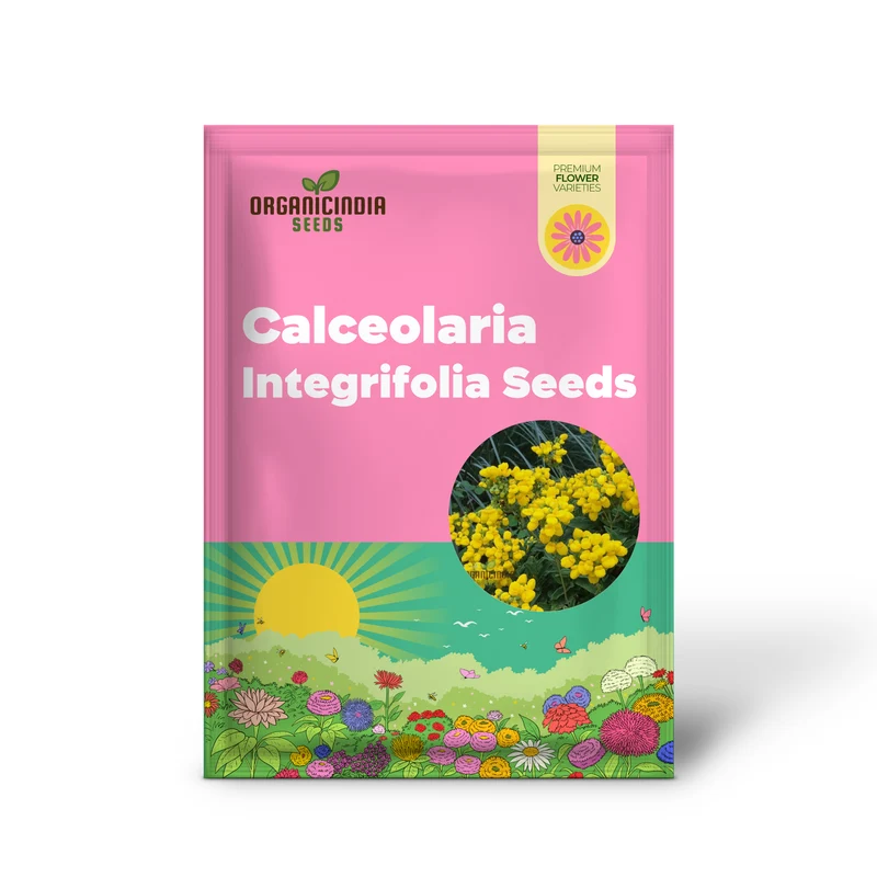 Calceolaria integrifolia Seeds – Hardy and Beautiful Blooming Variety for Garden Planting