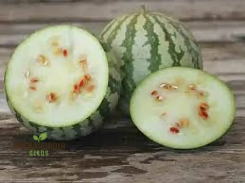 Citron Red Seeded Watermelon Seeds For planting: Exquisite Gardening Delight with Abundant Seed