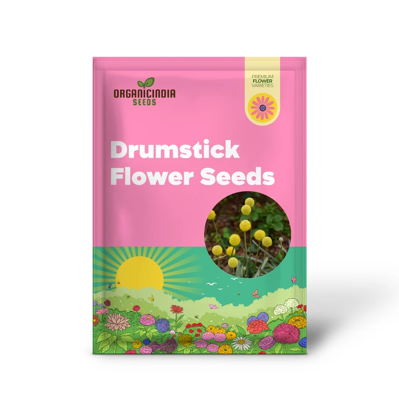 Drumstick Flower Seeds - Add Exotic Beauty to Your Garden with Drumstick Flowers