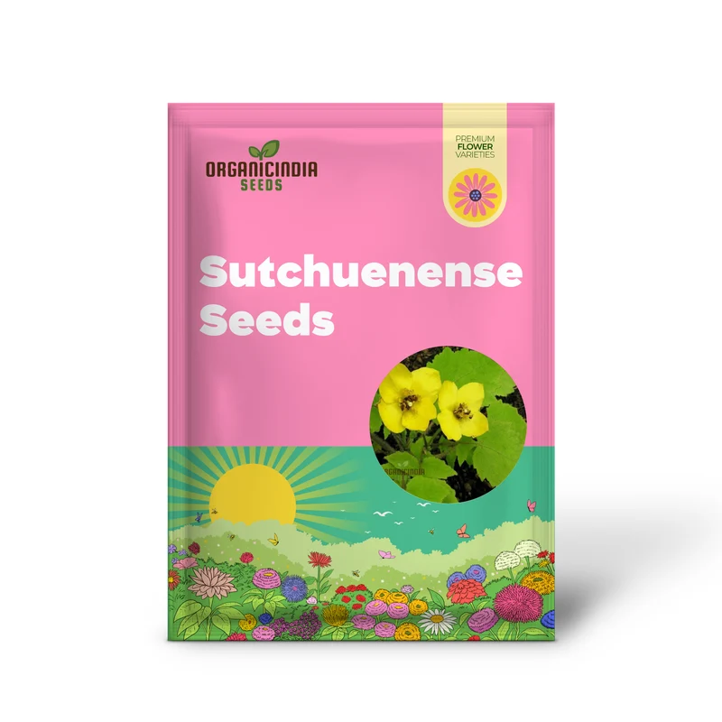 Stylophorum Sutchuenense Seeds – Rare Blooms for Your Garden