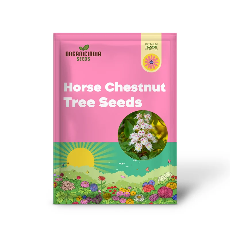 Horse Chestnut Seeds (Horse Chestnut Tree Seeds) - Stunning Foliage and Beautiful Spring Blossoms