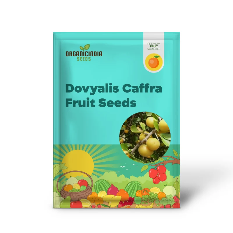 Dovyalis Caffra Fruit Seeds For Planting, Cultivating Exotic Flavor and Nutrition