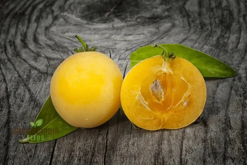 Dovyalis Caffra Fruit Seeds For Planting, Cultivating Exotic Flavor and Nutrition