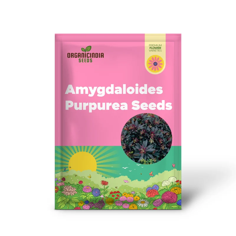 Euphorbia Seeds (Euphorbia Amygdaloides Purpurea Seeds) - Hardy Perennial for Gardens & Landscapes