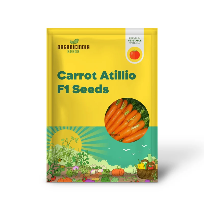 CARROT ATILLIO F1 Seeds | Premium Gardening Seeds for Your Garden