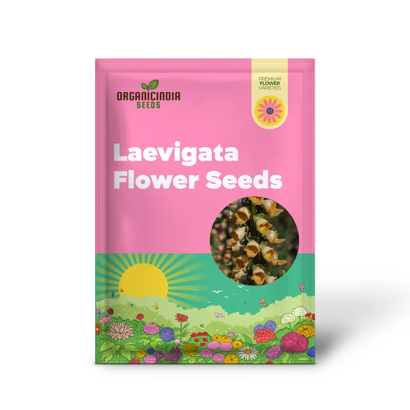 Digitalis Laevigata Flower Seeds For Planting, Add Graceful Foxglove Blooms to Your Garden