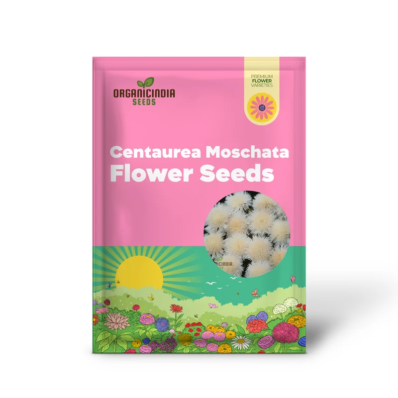 Centaurea Moschata White Flower Seeds, Premium Quality for Stunning Garden Blooms, Ideal for Gardening