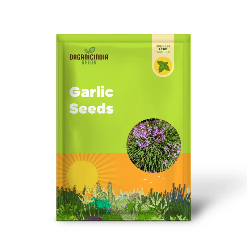 Society Garlic Seeds – Ornamental, Aromatic & Easy-Growing Garden Variety