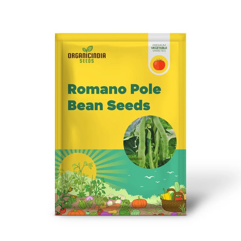 Romano Pole Bean Vegetable Seeds, Enhance Your Garden with Robust Flavor and Abundant Yields Using Expert Planting and Gardening