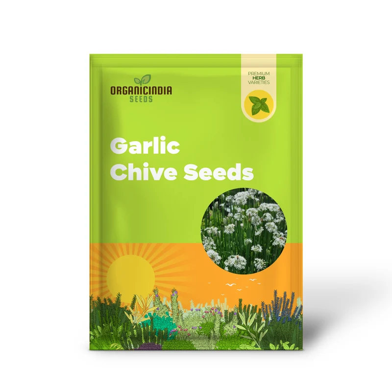 Garlic Chive Seeds for Planting – Premium Quality, Flavorful & Easy-Grow Herb