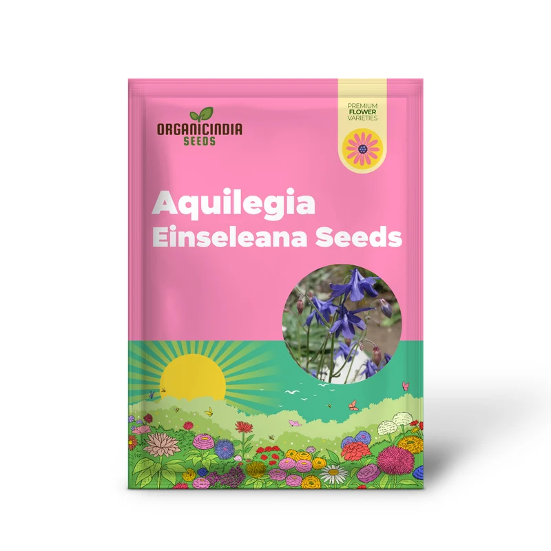 Rare Aquilegia Einseleana Seeds - Exquisite Columbine for Your Garden | Gardening Seeds