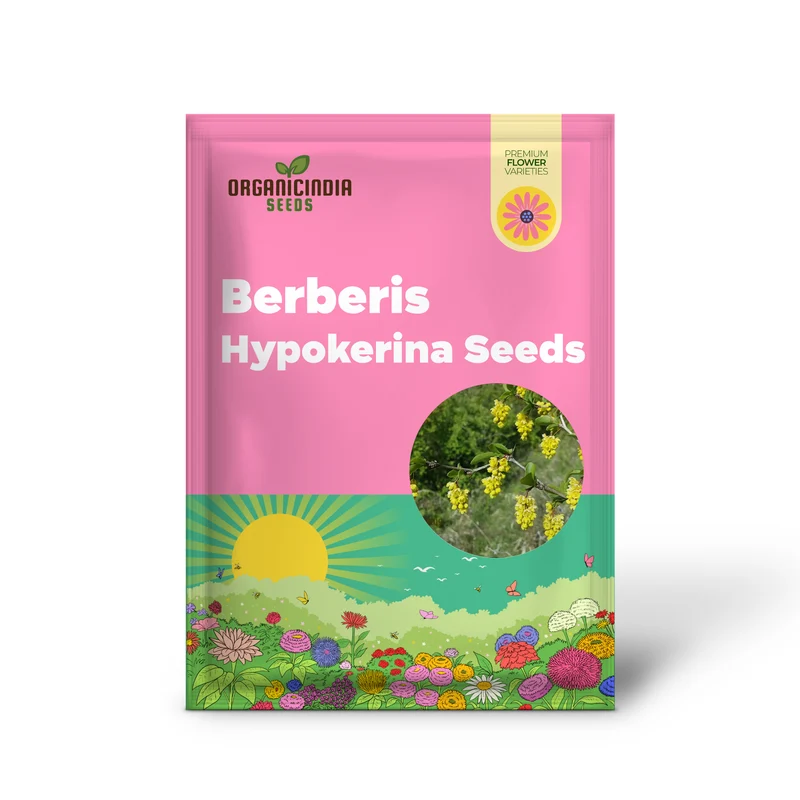 Berberis Hypokerina Seeds For Planting: The Ultimate Gardening Solution for a Vibrant, Low-Maintenance Garden | Enhance Your Outdoor Space with Hardy, Evergreen Beauty