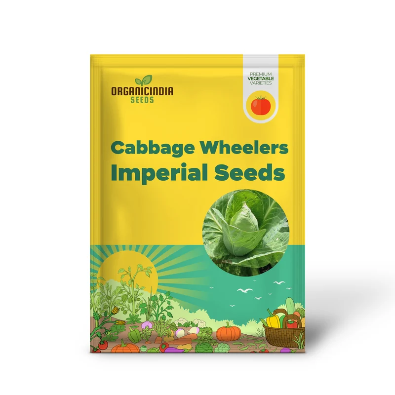 CABBAGE WHEELERS IMPERIAL Seeds for Gardening - Buy Quality Seeds Online