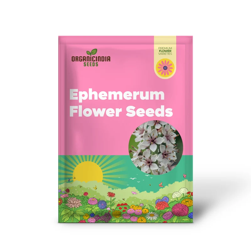 Lysimachia Ephemerum Flower Seeds, Elegant and Rare Garden, Premium Seeds for Gardening