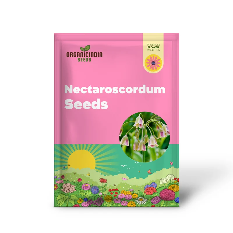 Nectaroscordum Siculum Seeds for Exceptional Gardening: Add Unique Beauty to Your Garden with These Stunning Seeds