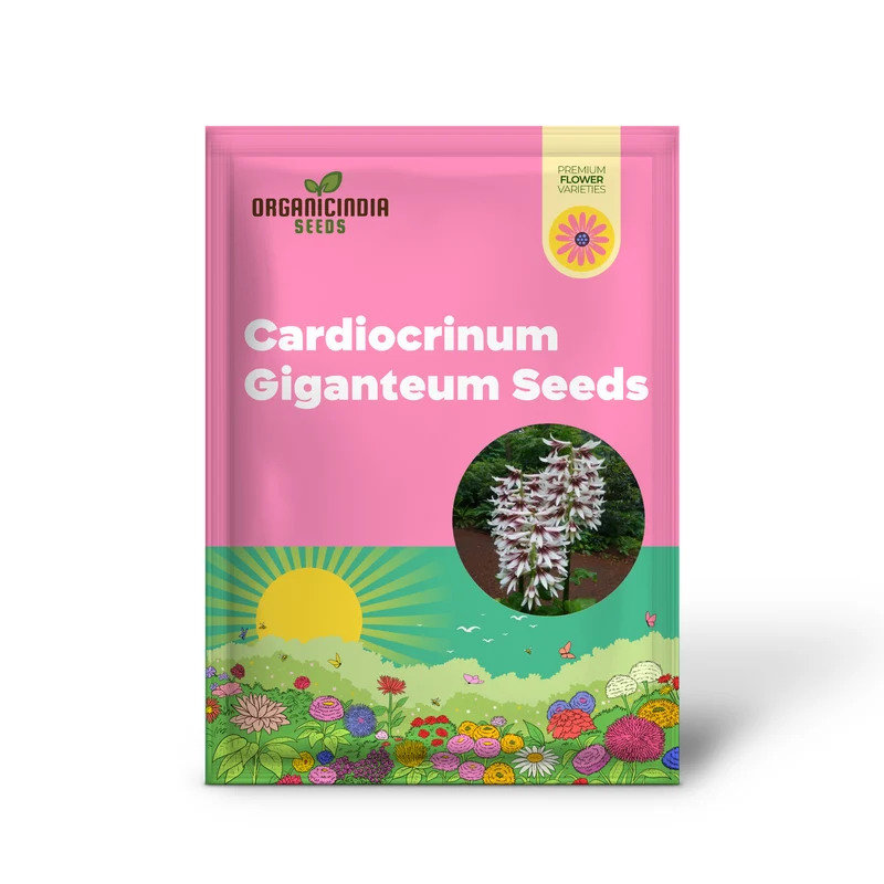 Cardiocrinum Giganteum Seeds for Gardening Enthusiasts: Grow Your Own Giant Himalayan Lily