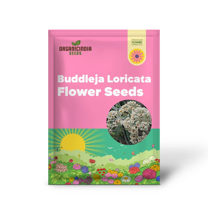 Buddleja Loricata Flower Seeds – Exotic Butterfly Bush for Garden Planting
