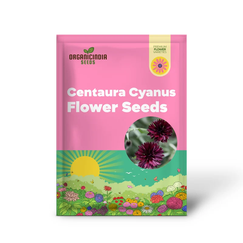 Centaura Cyanus 'Black Ball' Flower Seeds for Planting, Premium Quality for Stunning Garden Blooms Gardening