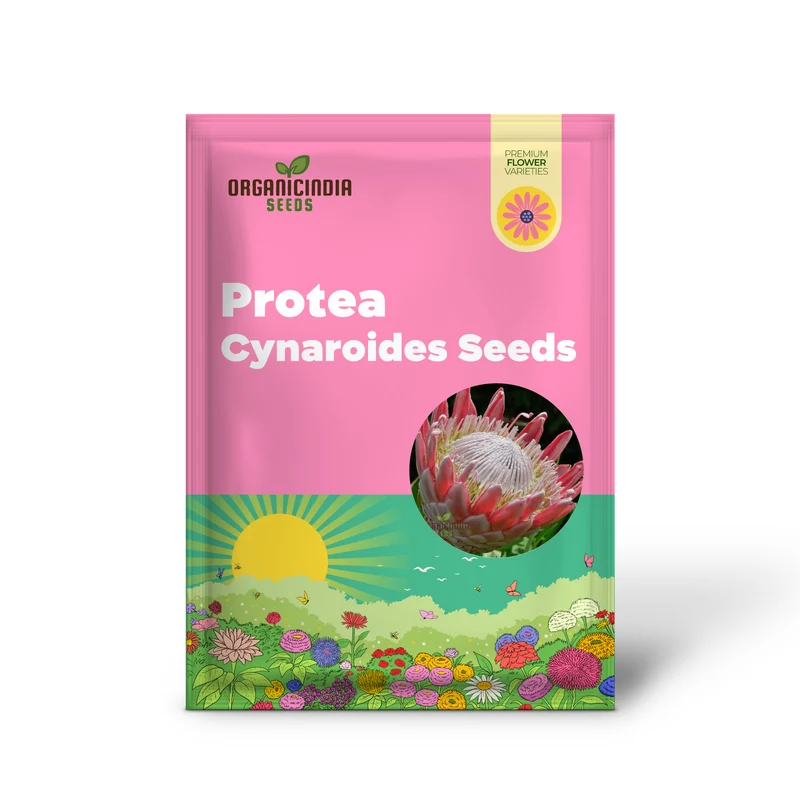 Protea Cynaroides Seeds Grow the Majestic King Protea in Your Garden