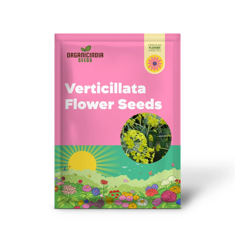 Primula Verticillata Flower Seeds For Planting, Cultivating Whorled Beauty in Your Garden