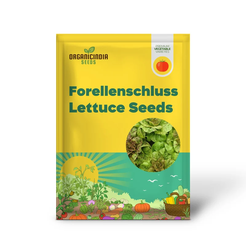 Forellenschluss Lettuce Seeds - Ideal for Gardening Enthusiasts Seeking Quality Seeds