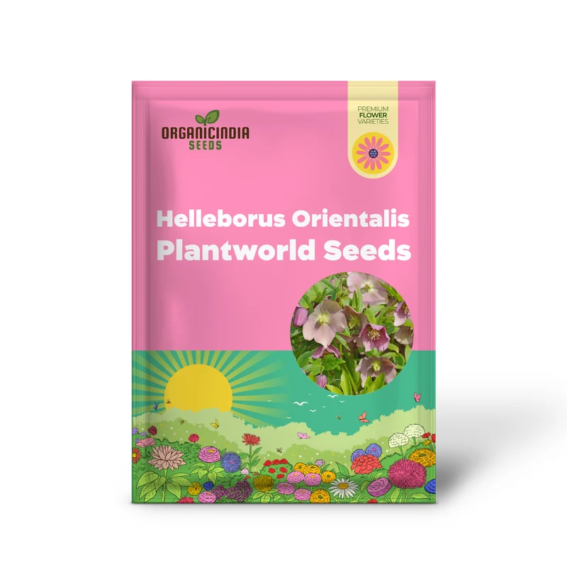 Helleborus Orientalis Plantworld Doubles Seeds | Exquisite Gardening Delight for Your Home Garden