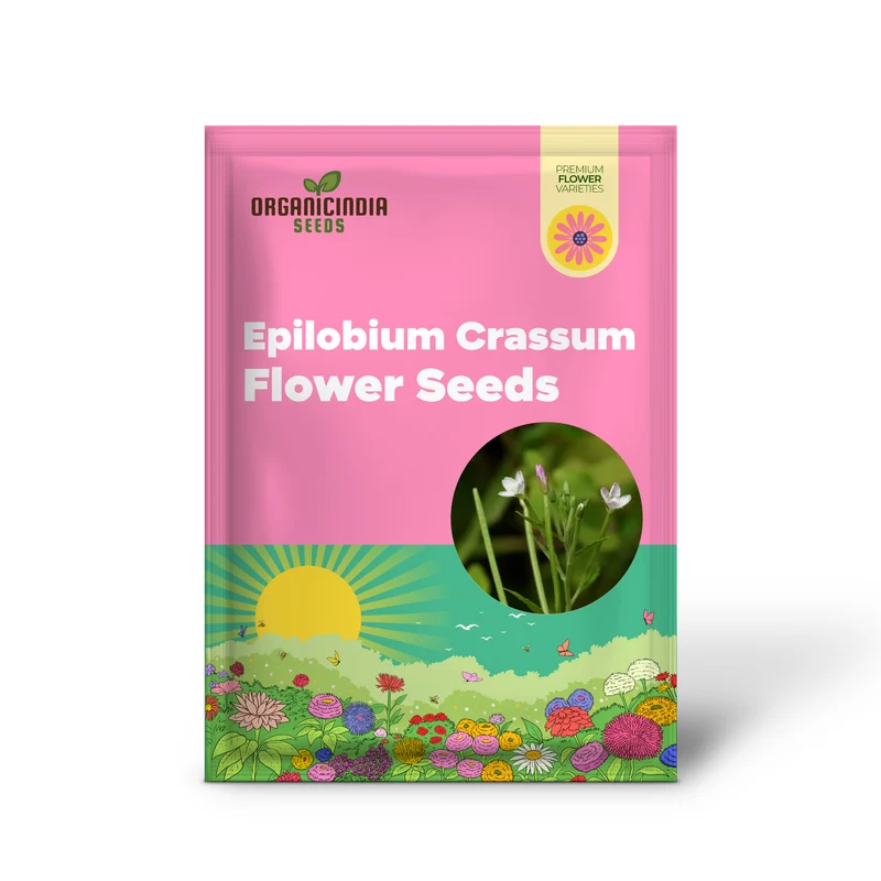 Epilobium Crassum Flower Seeds For Planting, Cultivating Delicate Beauty in Your Garden