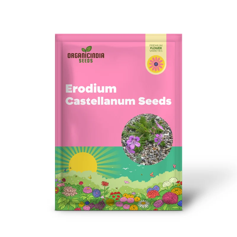 Erodium Castellanum Seeds for Planting - Drought-Tolerant Perennial Flower Seeds