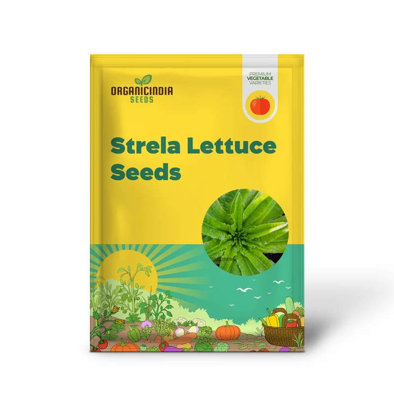 Strela Green Lettuce Seeds: Premium Quality for Vibrant Gardening Success