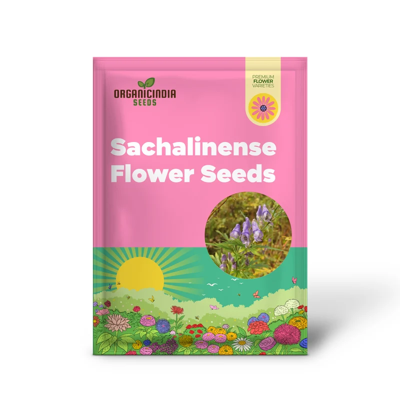 Aconitum Sachalinense Flower Seeds for Planting,Add Elegance to Your Garden For Planting