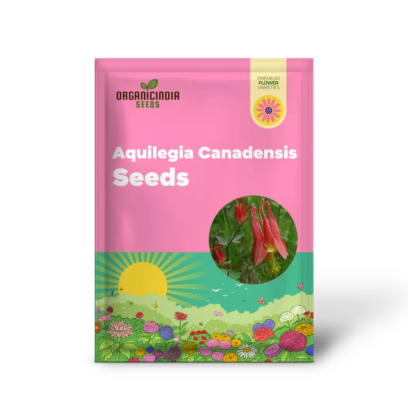 Aquilegia Canadensis Seeds – Hardy Columbine Perennial Variety for Garden Planting