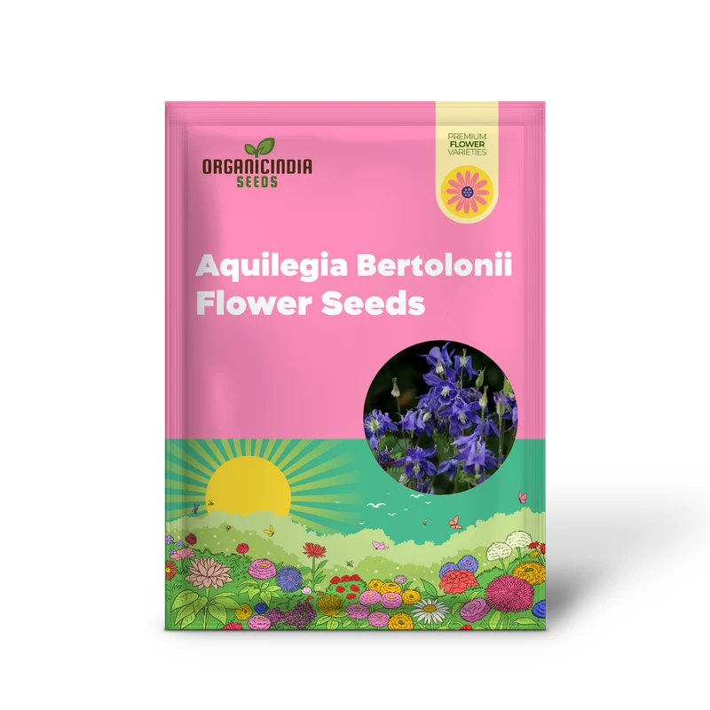 Aquilegia Bertolonii Seeds – Rare Columbine Perennial Variety for Elegant Garden Blooms