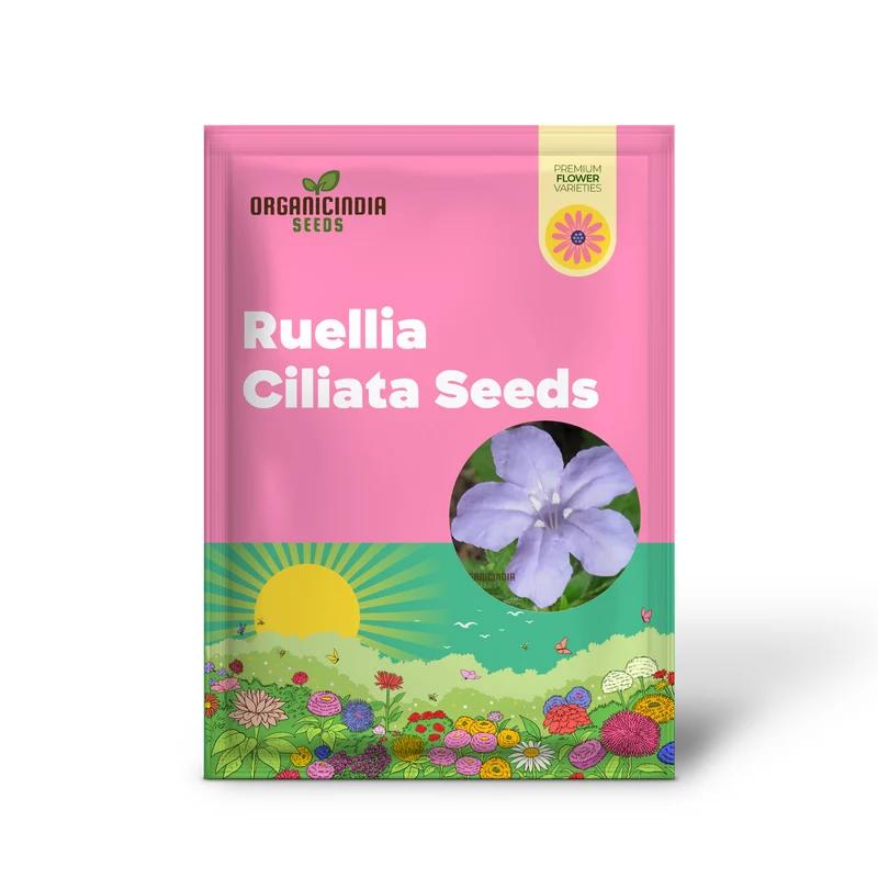 Ruellia Ciliata Seeds - Premium Quality for Gardening Enthusiasts | Organic Flower Seeds