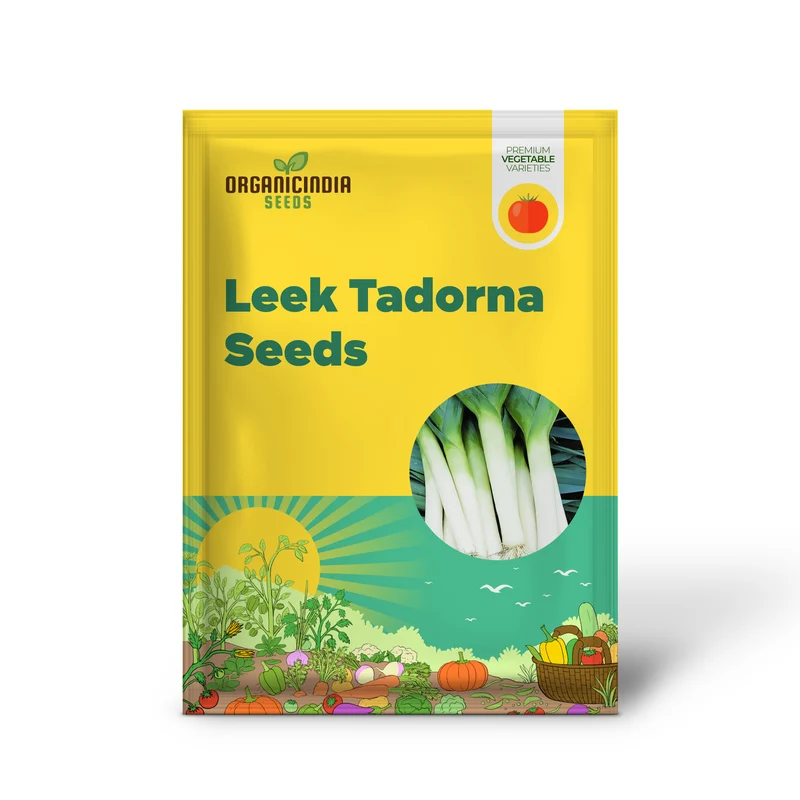 LEEK TADORNA Seeds for Vibrant Gardening Premium Garden Seeds for Hearty Harvests