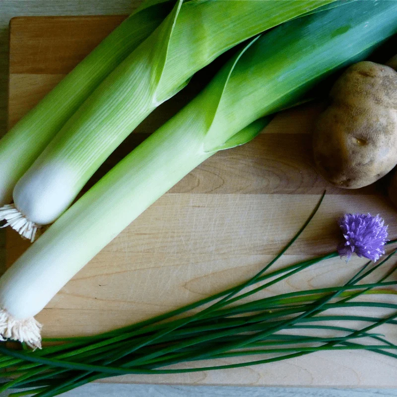 LEEK TADORNA Seeds for Vibrant Gardening Premium Garden Seeds for Hearty Harvests