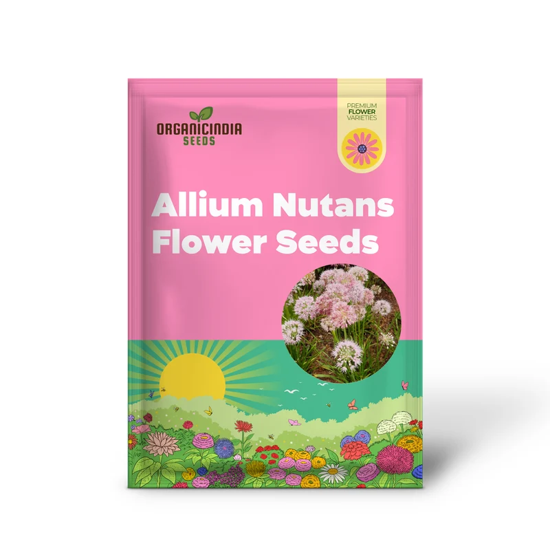 Allium Nutans Seeds – Premium Ornamental Variety for Elegant Garden Planting